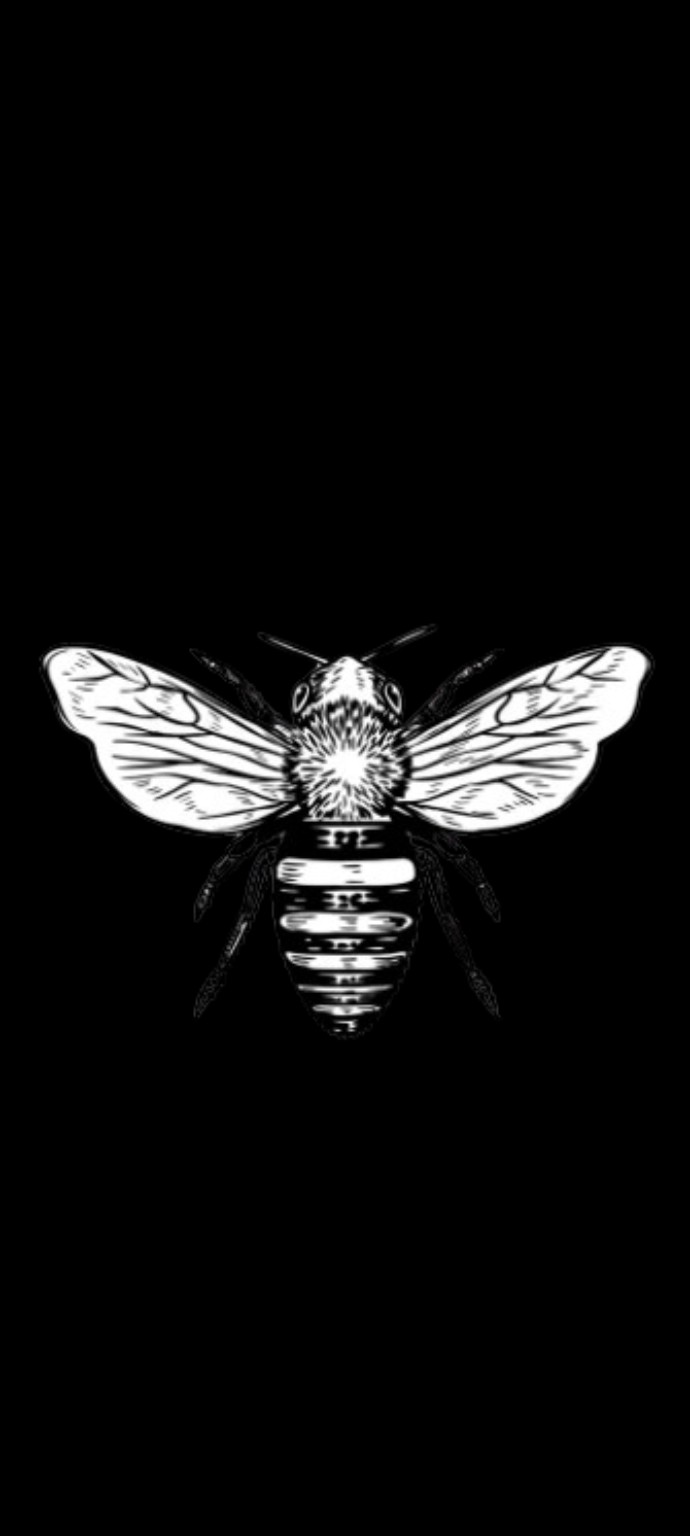 Z. Takaishvili engraved bee logo